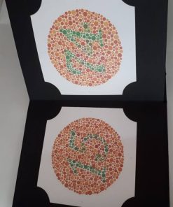 Buku Tes Buta Warna Isihara ishihara colour blindess 38 Plate - Gambar 5