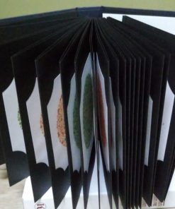 Original buku tes buta warna isihara Ishihara 38 plate Japan - Gambar 3