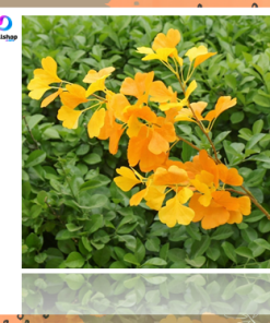 Daun Plastik Artificial Ginkgo Dekorasi Wedding Tanaman Palsu