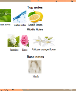 Alternative view of Parfum Wanita Tahan Lama CHASTITY Parfume Arab Spray EDP 5ml 10ml 100ml