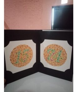 ORIGINAL Asli Japan Buku Tes Buta Warna | Ishihara Test | Isihara Tes Buta Warna 24 Plates - Gambar 6