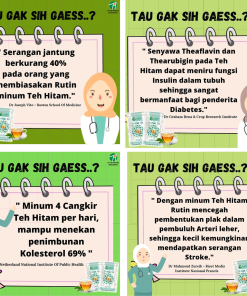 Teh Diet Minuman Kesehatan Detox Alami Black Tea Th PrimeTea Menjaga Imunitas Tubuh, Mencegah Stroke - Gambar 5