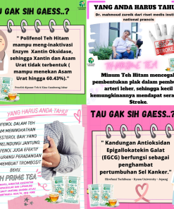 Teh Diet Minuman Kesehatan Detox Alami Black Tea Th PrimeTea Menjaga Imunitas Tubuh, Mencegah Stroke - Gambar 4
