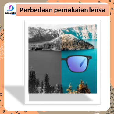 ddalshop