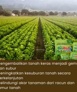 Pupuk Organik Serbuk Bio BISA Teknologi Nano Menutrisi Membenahi Tanah Penyubur Tanaman Sayuran Buah - Gambar 3