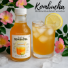 Minuman Fermentasi Kombucha Teh Herbal Detox & Imun Booster Alami