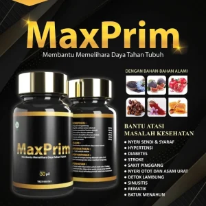 Pil Hitam Kesehatan Herbal Alami Asam Urat Kolesterol Diabetes Stroke Nyeri Sendi MaxPrim BPOM