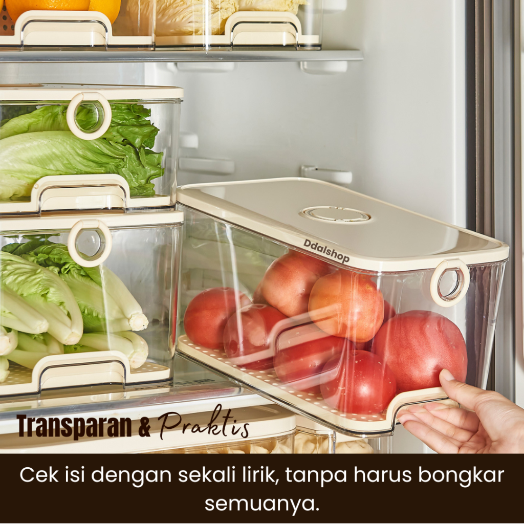 ddalshop