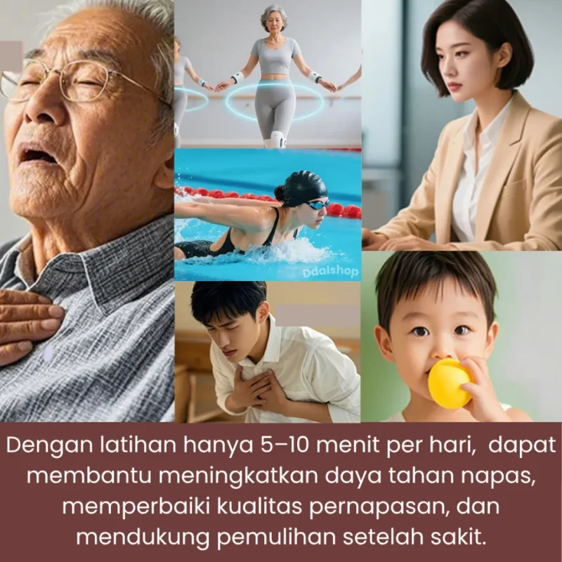 ddalshop