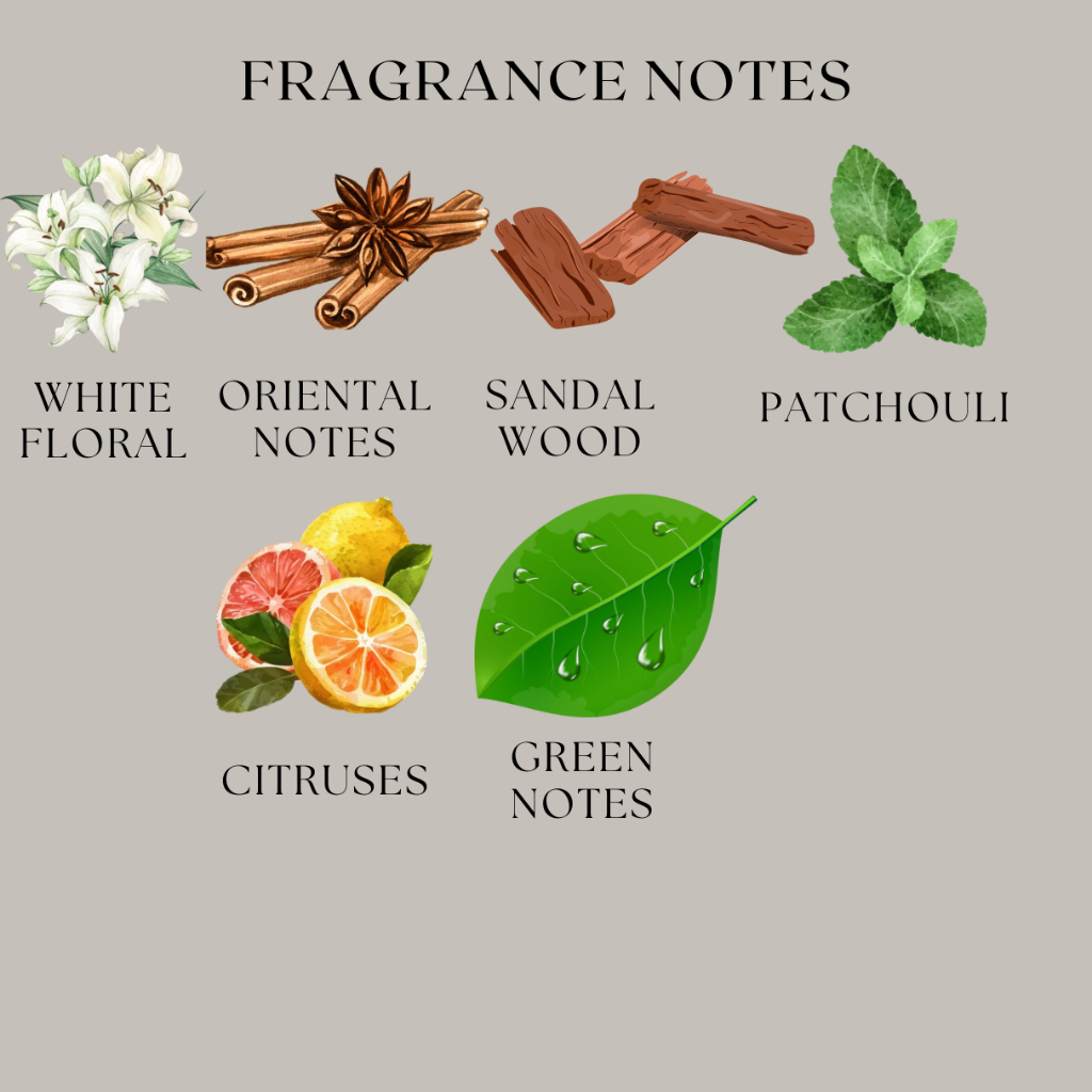 Parfum Wanita Tahan Lama Marquis Paris Eau De Parfume Travell Size 5ml 10ml 100ml - Foto 8