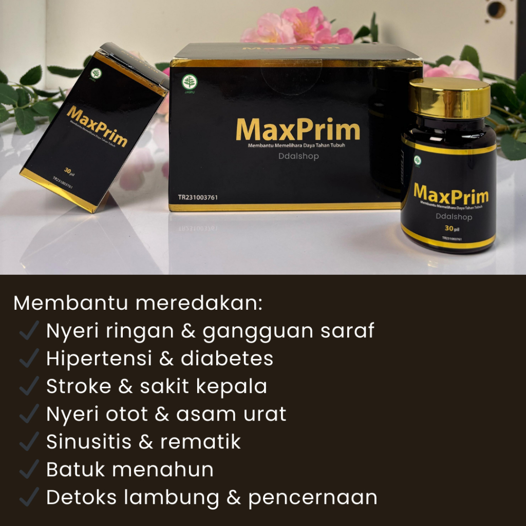 Pil Hitam Kesehatan Herbal Alami Asam Urat Kolesterol Diabetes Stroke Nyeri Sendi MaxPrim BPOM - Foto 4